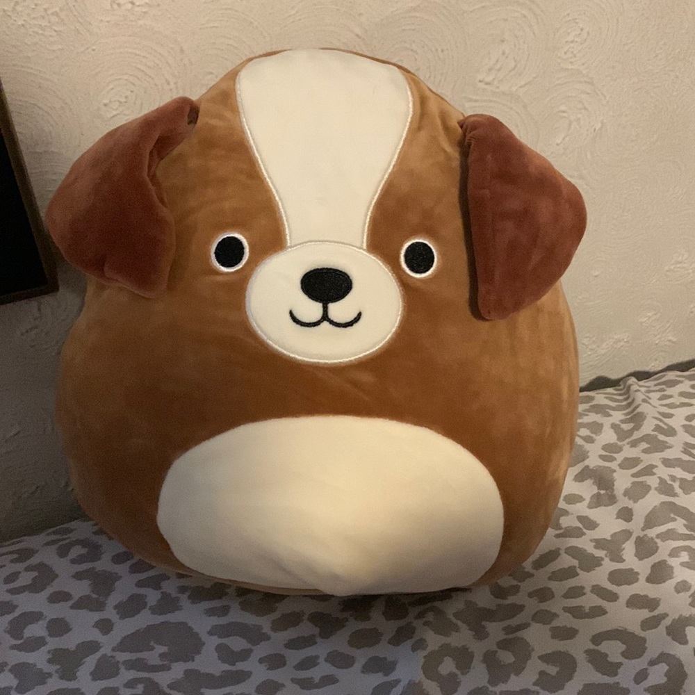 Bernie the Dog Squishmallow